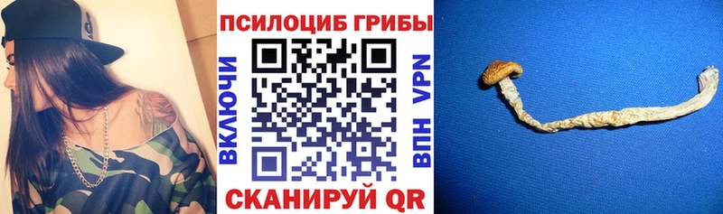 Купить где  Сенгилей  Галлюциногенные грибы ЛСД 